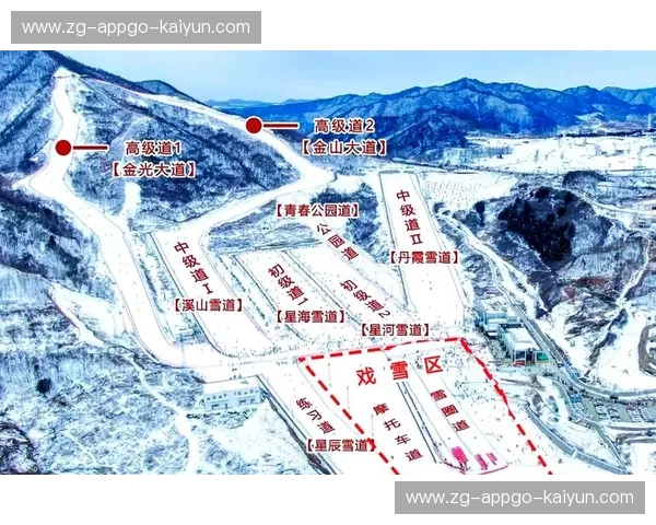 滑雪比赛：速度与热血在雪道上书写的冬日故事